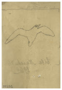 Visualizza l'immagine "FD D 1311"